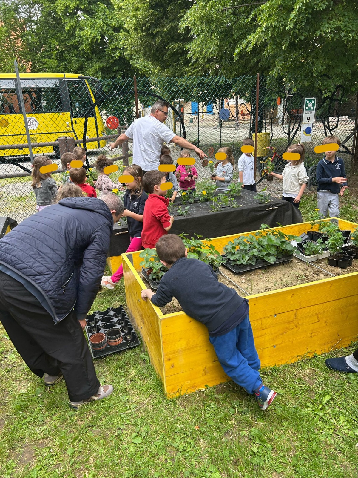 Alla Scuola dell’Infanzia di Camposampiero l’orto si fa con Il Graticolato Alla Scuola dell’Infanzia di Camposampiero l’orto si fa con Il Graticolato