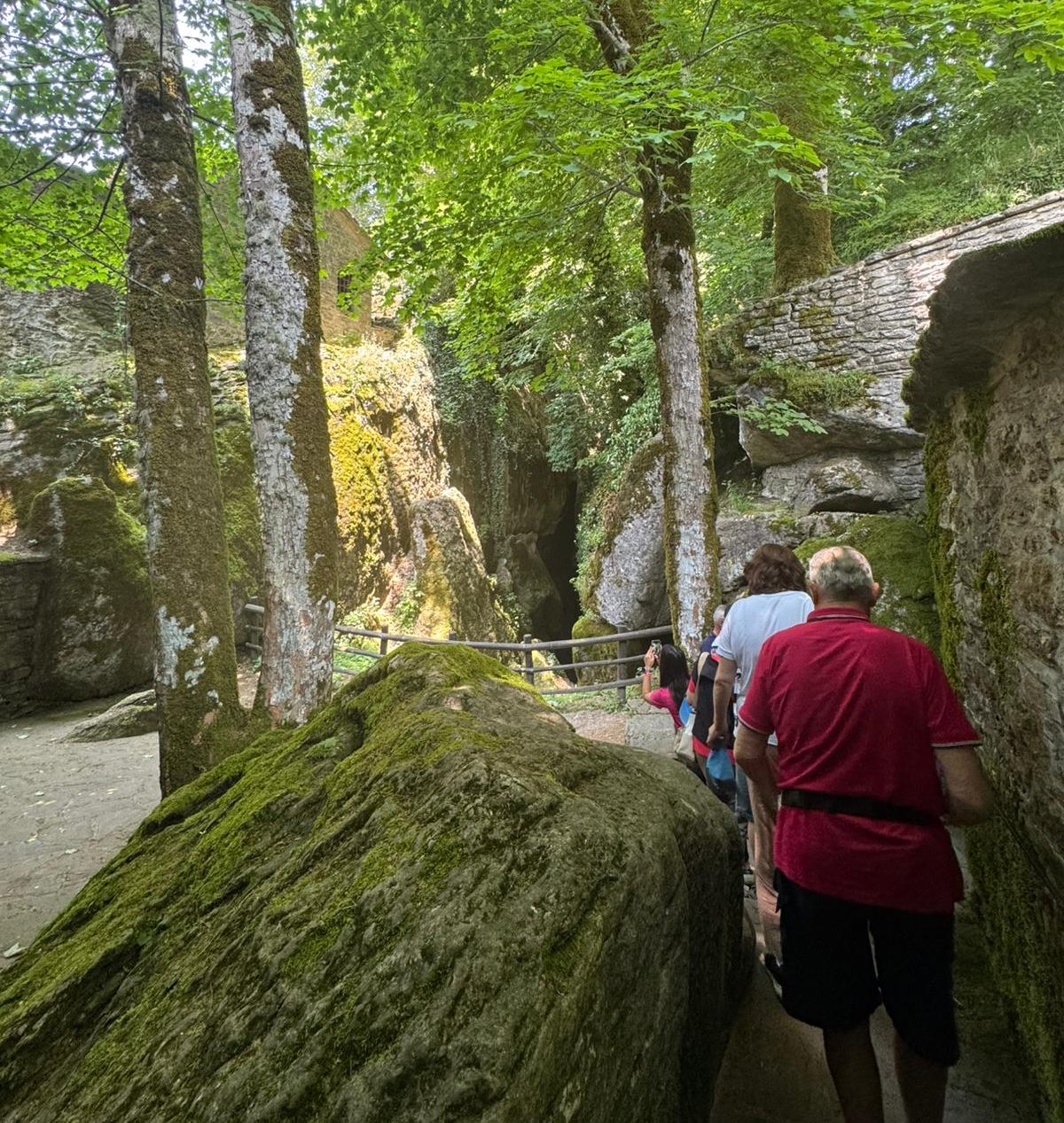 Il rientro da Roma sulle orme di San Francesco
