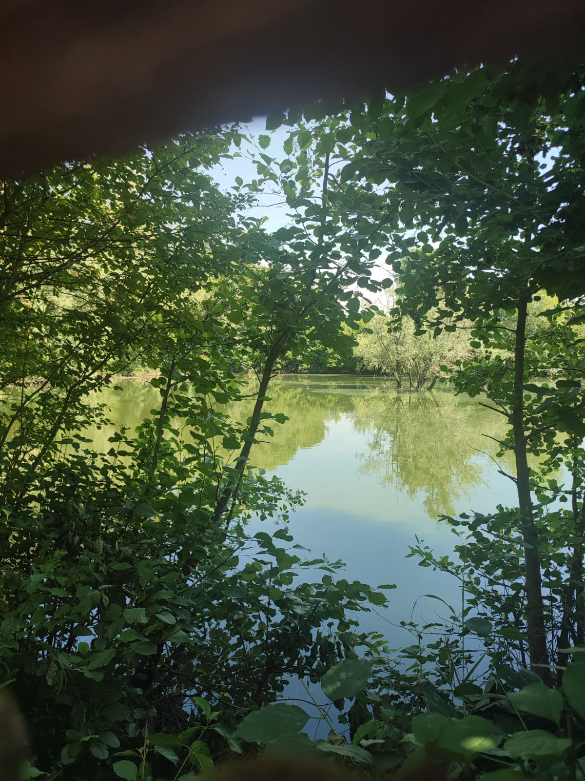 Una mattinata all’Oasi “Rossato” Una mattinata all’Oasi “Rossato”