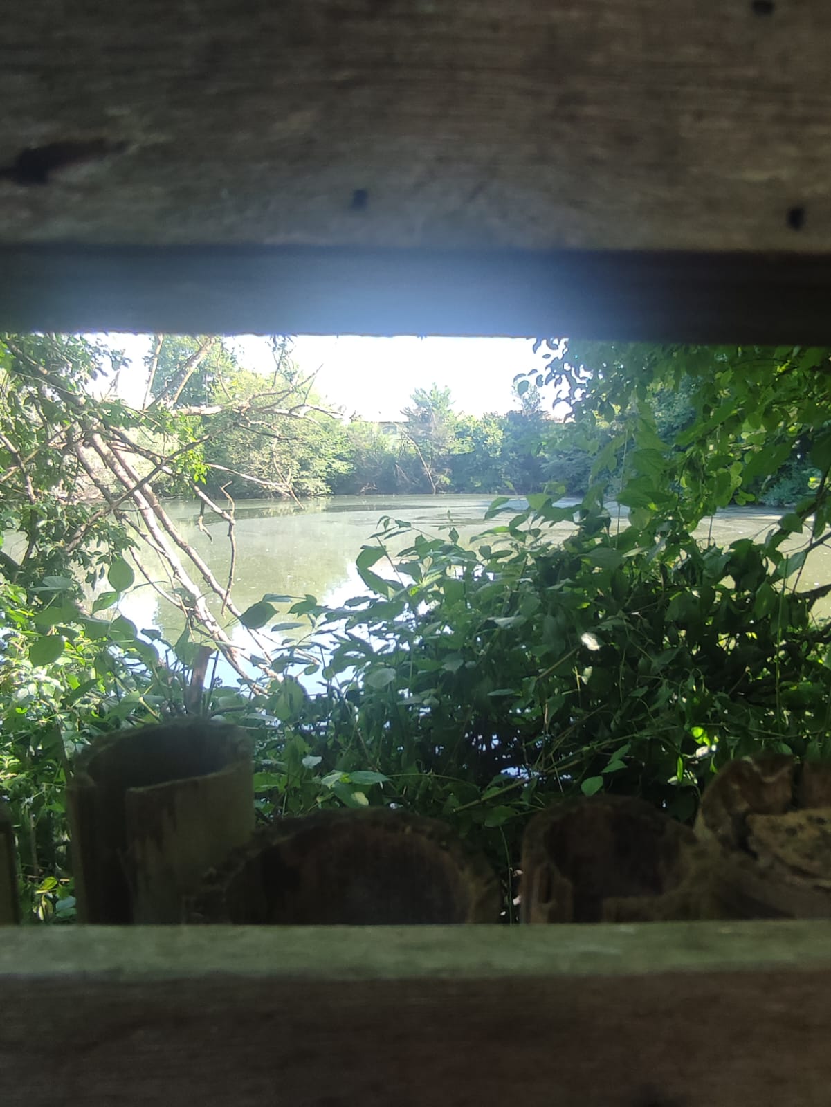 Una mattinata all’Oasi “Rossato” Una mattinata all’Oasi “Rossato”