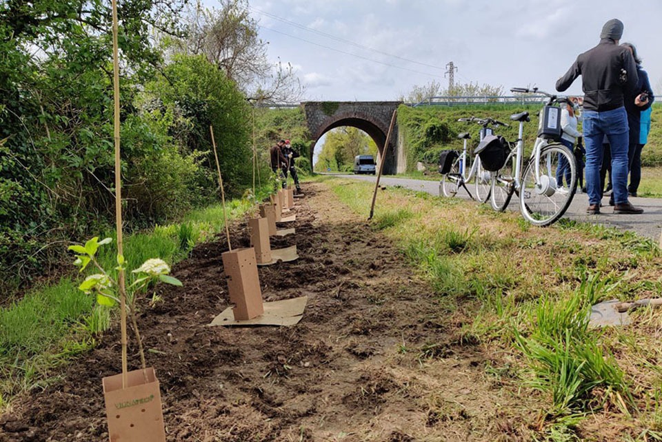 Immagine WhatsApp 2025-08-02 ore 20.56.24_95ffba18