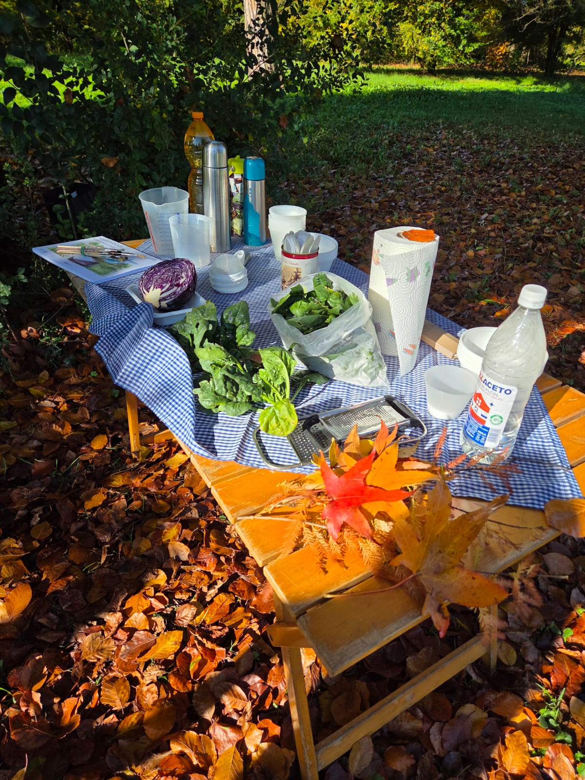 I bimbi della Scuola Materna di Vaccarino al “Parco del Passero” I bimbi della Scuola Materna di Vaccarino al “Parco del Passero”