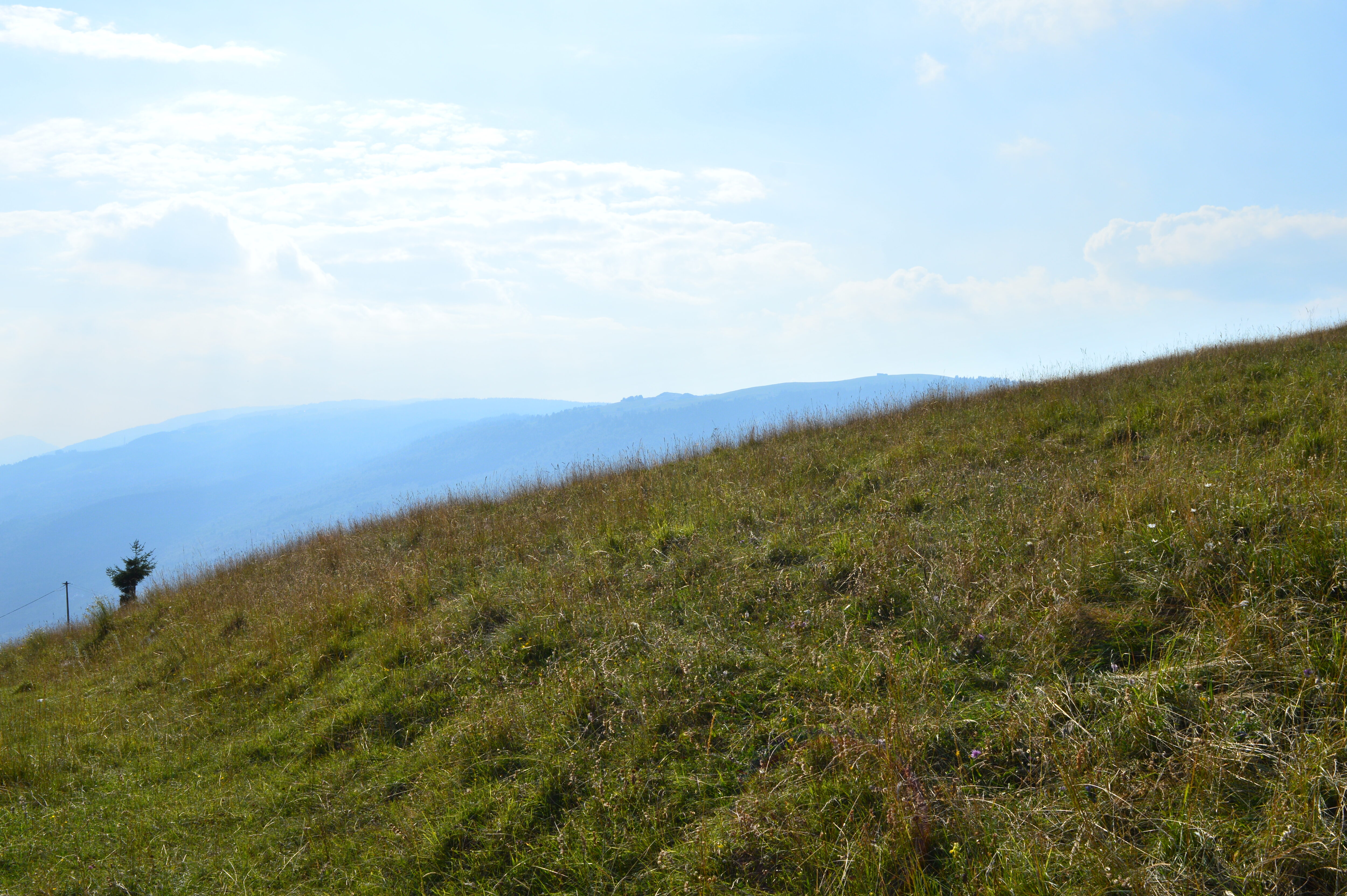 Un ricco programma delle feste natalizie Un ricco programma delle feste natalizie